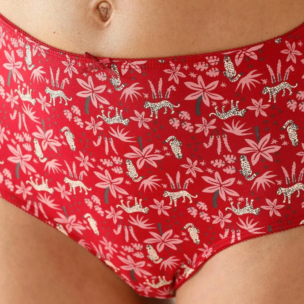 Culotte maxi coton stretch imprimé "panthère" - lot de 4
