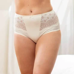 Culotte microfibre forme maxi taille haute
