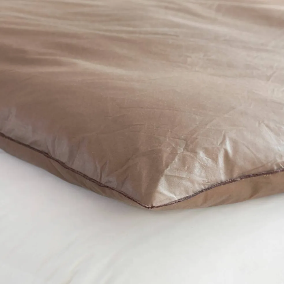 Edredon naturel duvet et plumettes