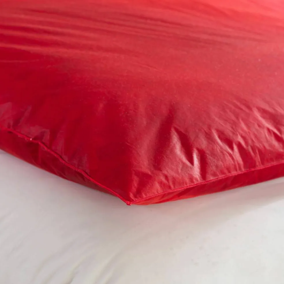 Edredon naturel duvet et plumettes