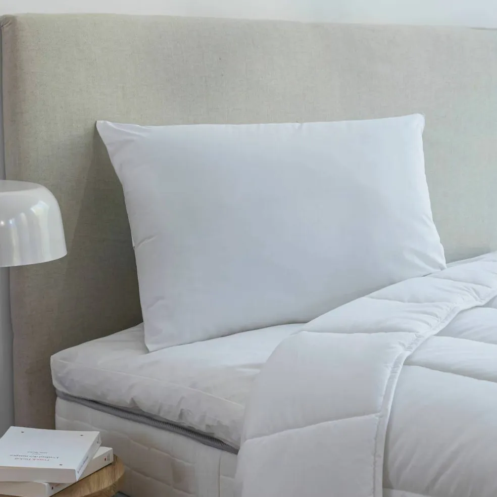Oreiller anti-acariens Proneem® moelleux