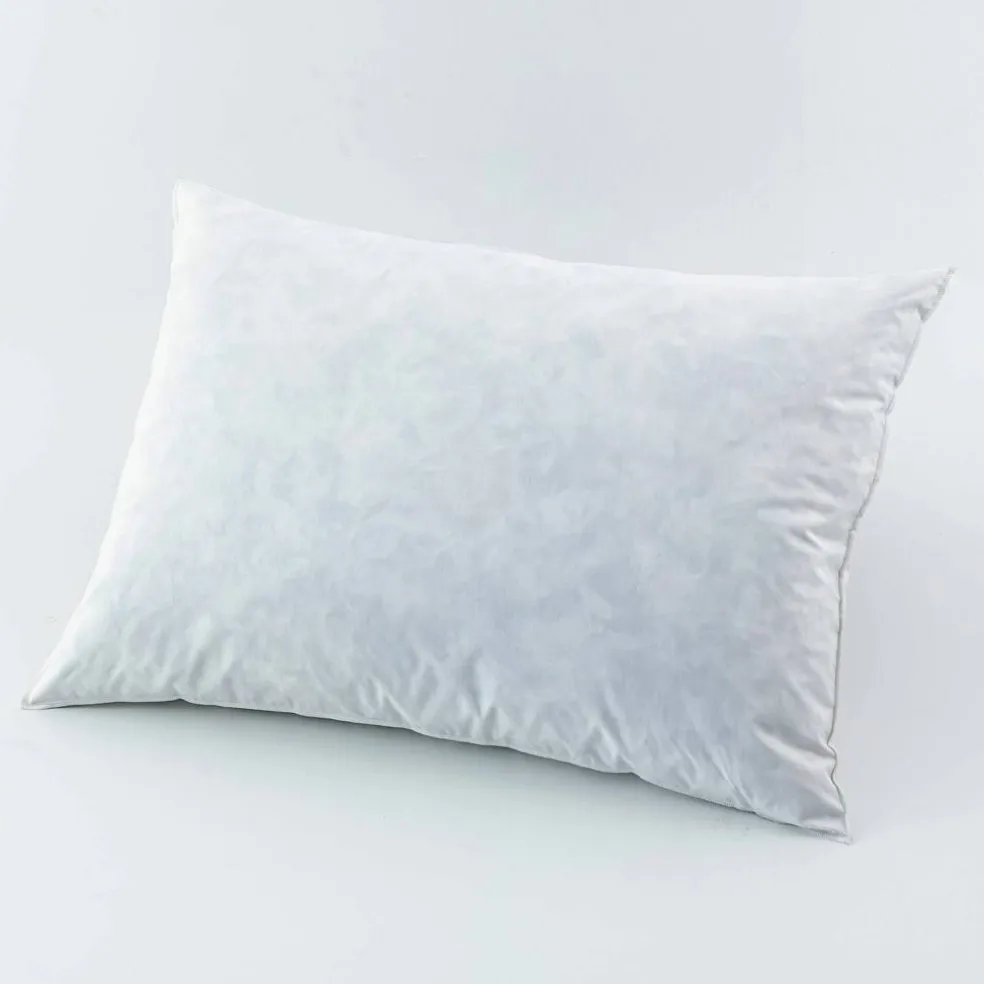 Oreiller plumes en lot de 2