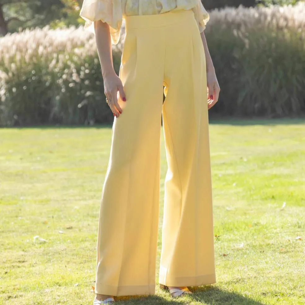 Pantalon large à pinces taille haute, uni