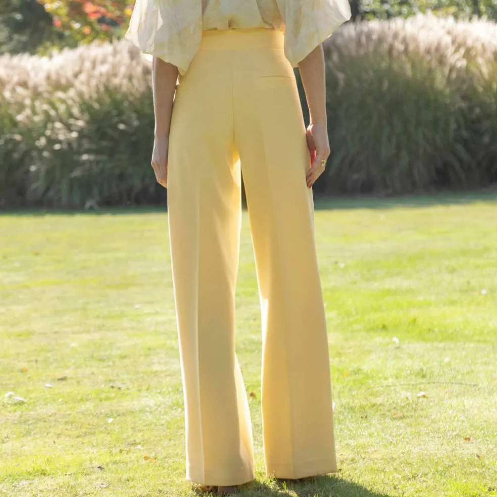 Pantalon large à pinces taille haute, uni