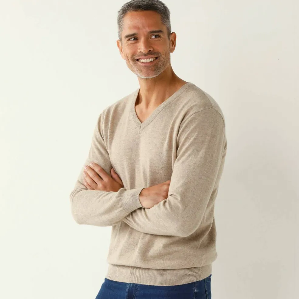 Pull pur coton col V manches longues
