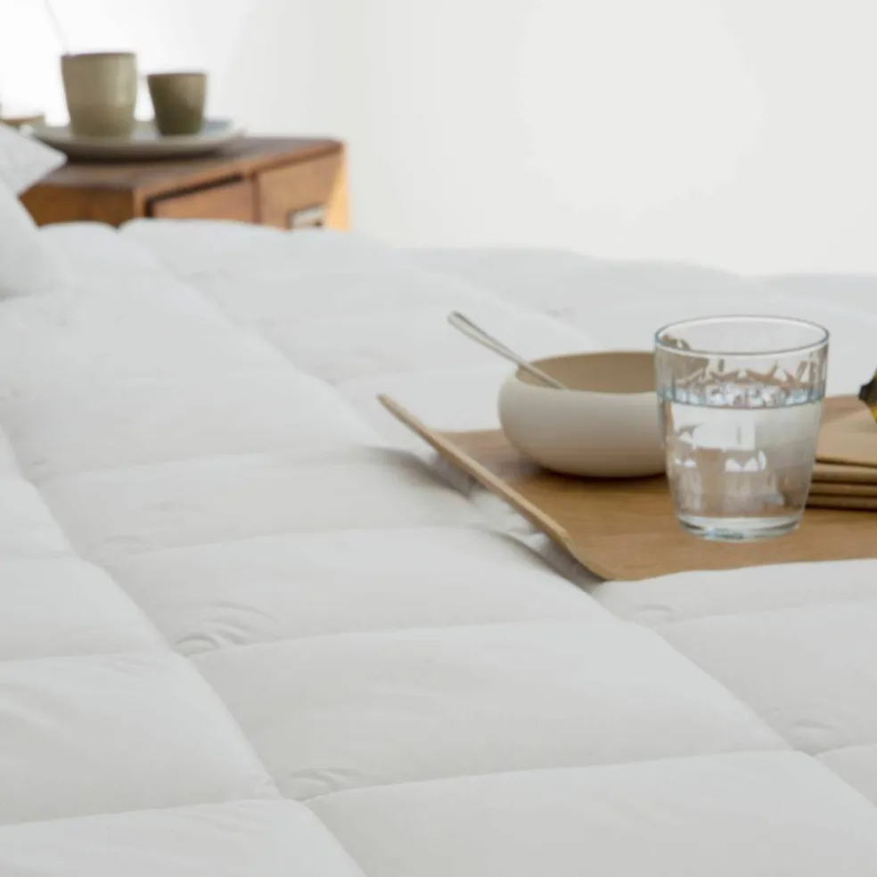 Surmatelas 1er prix 400 g/m²